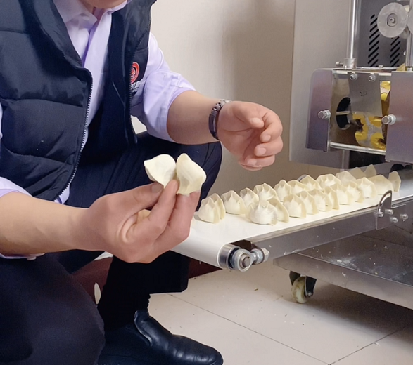 仿手工餃子機能做茴香餡嗎