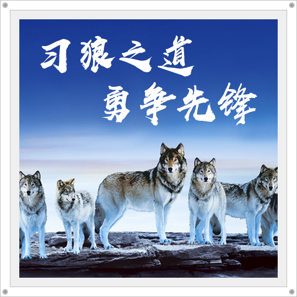 習(xí)狼之道，勇爭先鋒